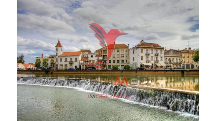 Terreno para Venda em Serra e Junceira Foto 8