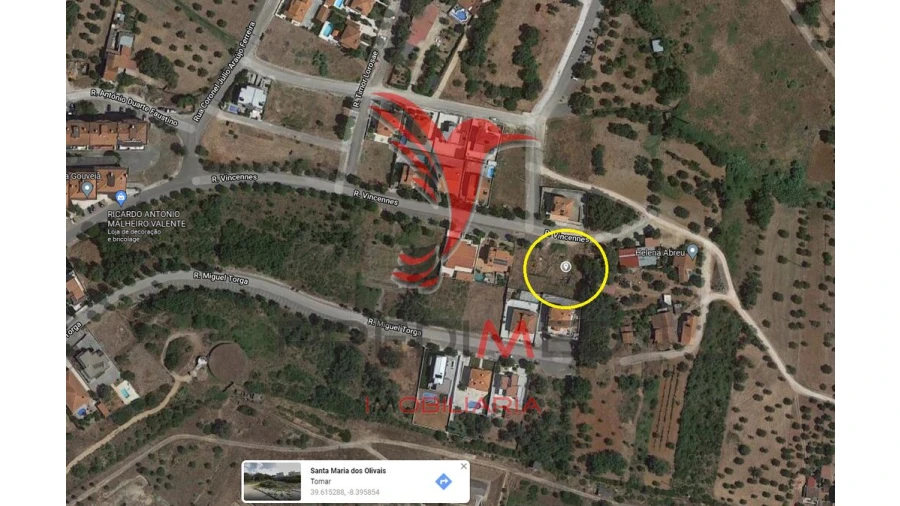 Terreno para Venda em Serra e Junceira Foto 11