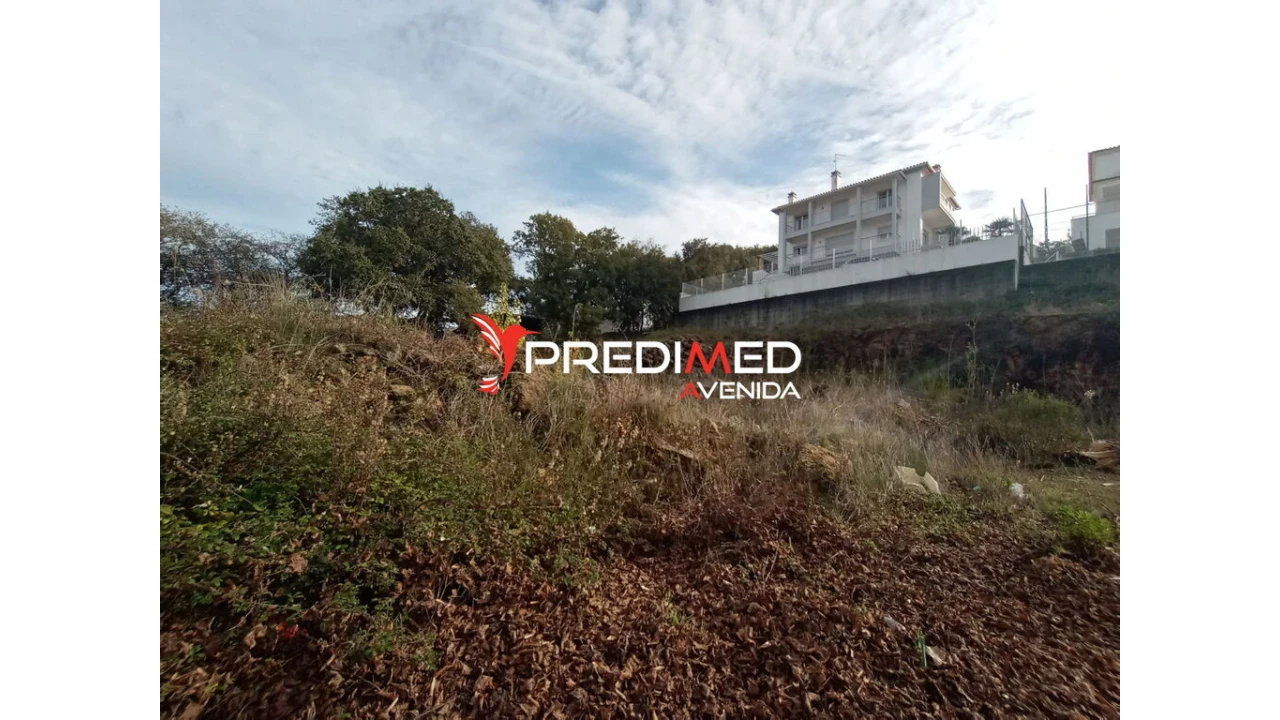 Terreno para Venda em Serra e Junceira Foto 3