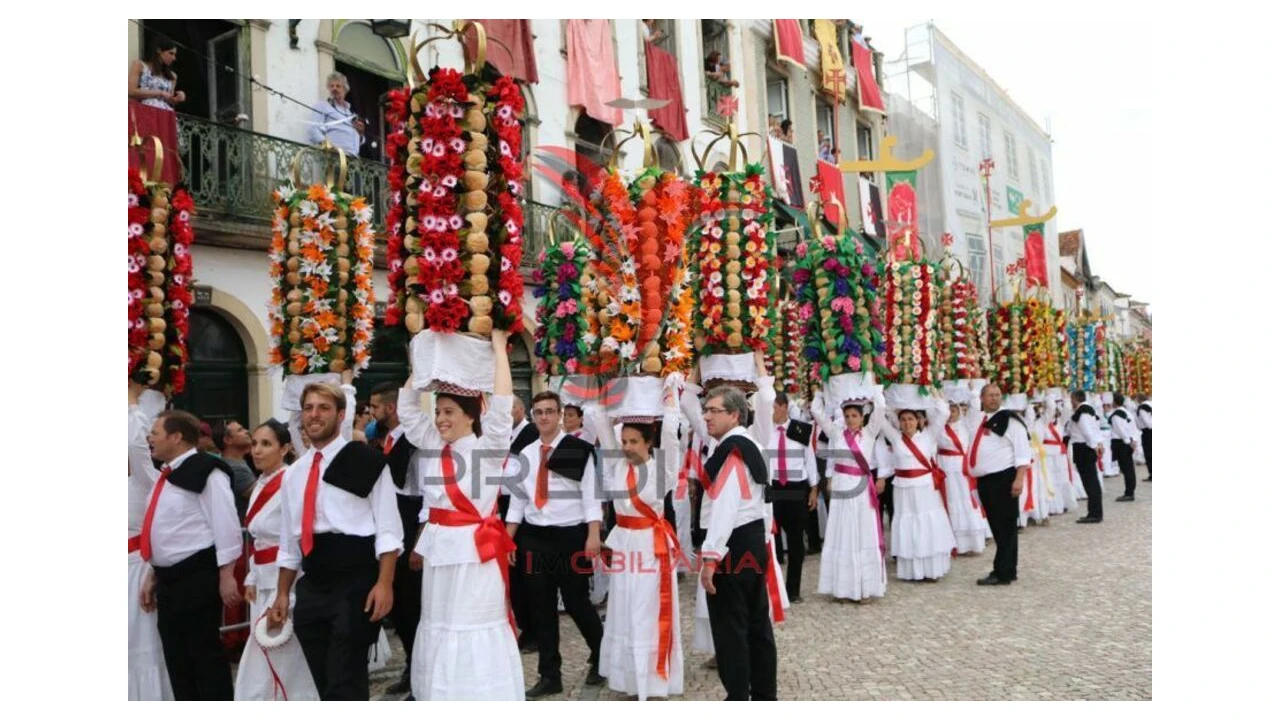Terreno para Venda em Serra e Junceira Foto 5