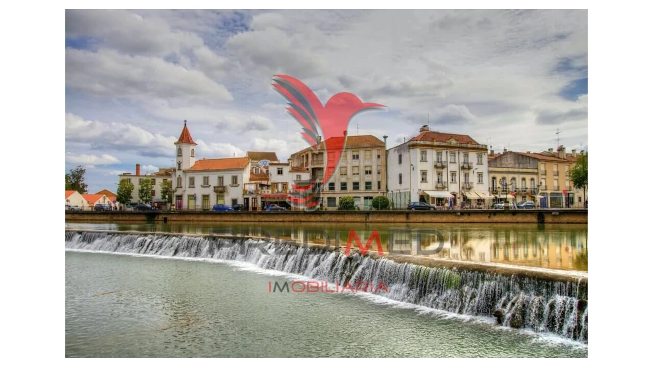 Terreno para Venda em Serra e Junceira Foto 8