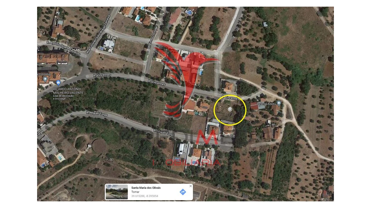 Terreno para Venda em Serra e Junceira Foto 11