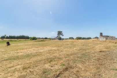 Terreno para Venda em Atalaia e Alto Estanqueiro-Jardia