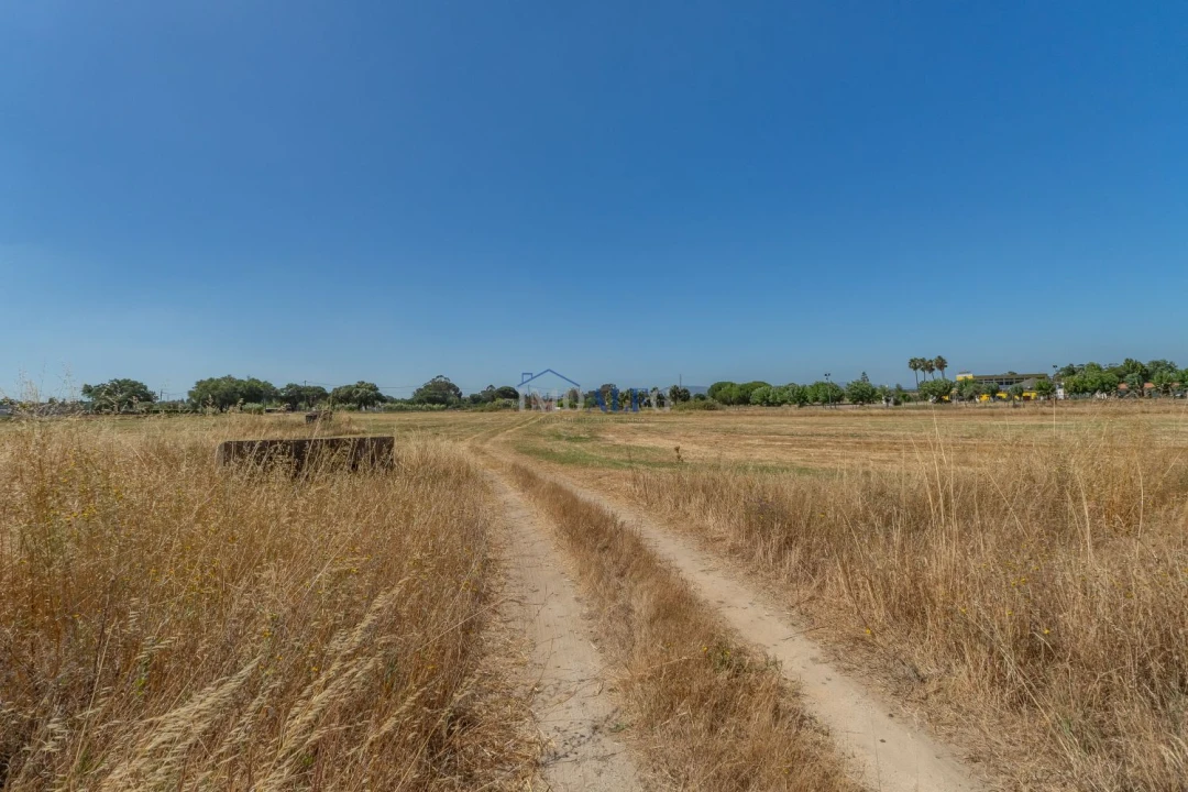 Terreno para Venda em Atalaia e Alto Estanqueiro-Jardia Foto 16
