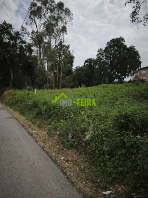 Terreno para Venda em Arrifana