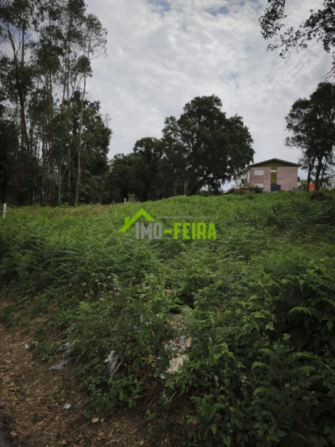 Terreno para Venda em Arrifana