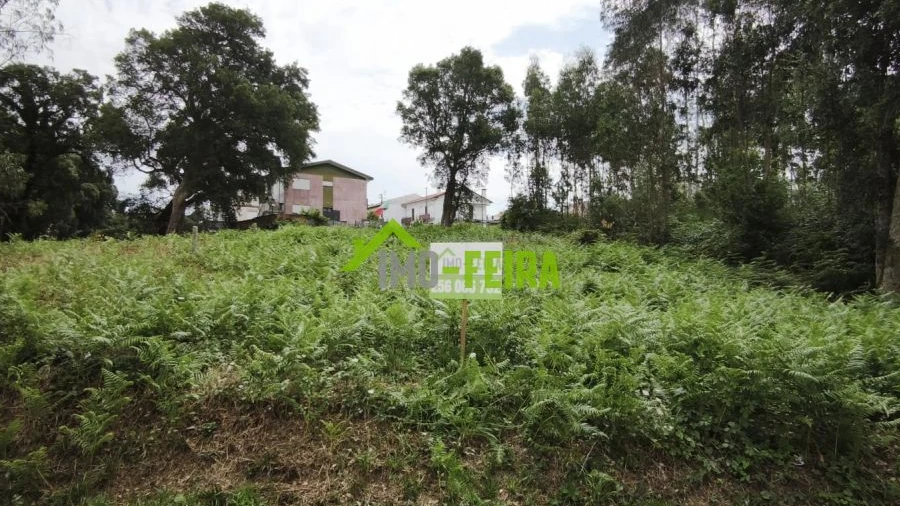 Terreno para Venda em Arrifana