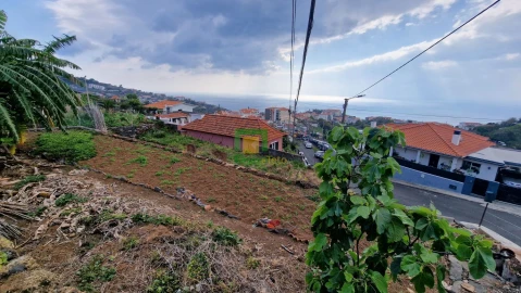 Moradia T3 para Venda em Caniço