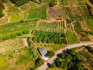 Moradia T3 para Venda em Peral
