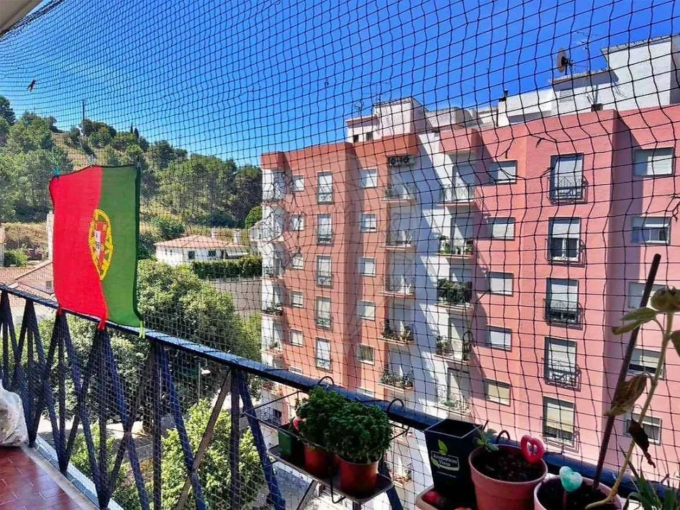 Apartamento T3 para Venda em Marvila, Ribeira Santarém, São Salvador, São Nicolau Foto 5