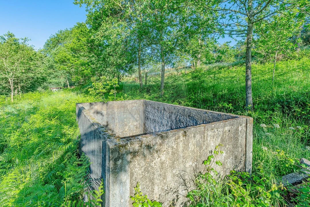 Quinta T
           para Venda em Tropeço Foto 6