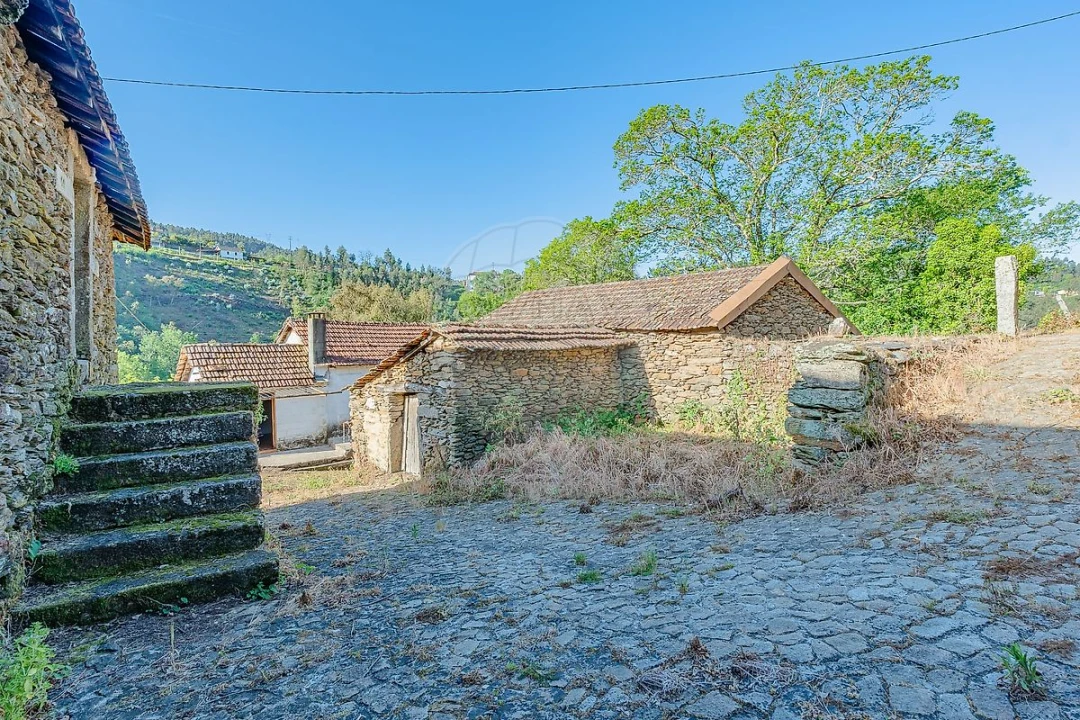 Quinta T
           para Venda em Tropeço Foto 23