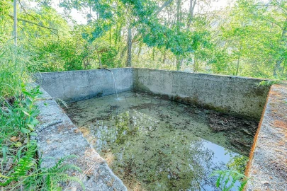Quinta T
           para Venda em Tropeço