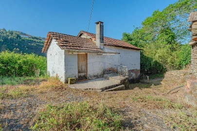 Quinta T
           para Venda em Tropeço