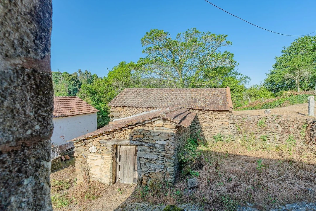 Quinta T
           para Venda em Tropeço Foto 31
