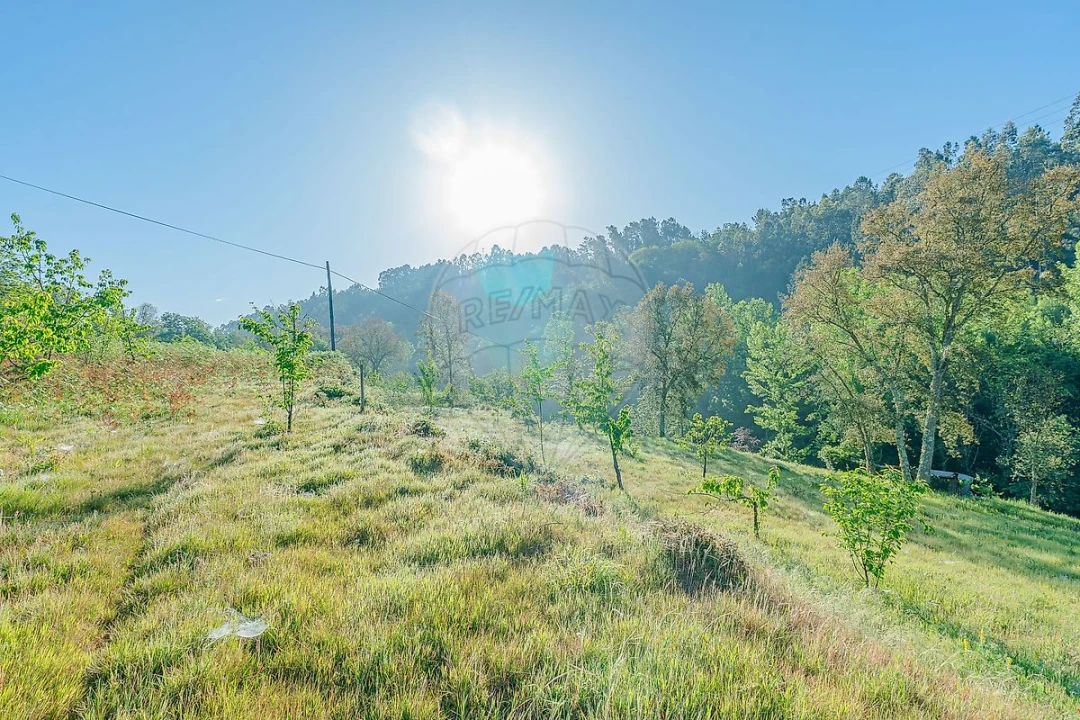 Quinta T
           para Venda em Tropeço Foto 9