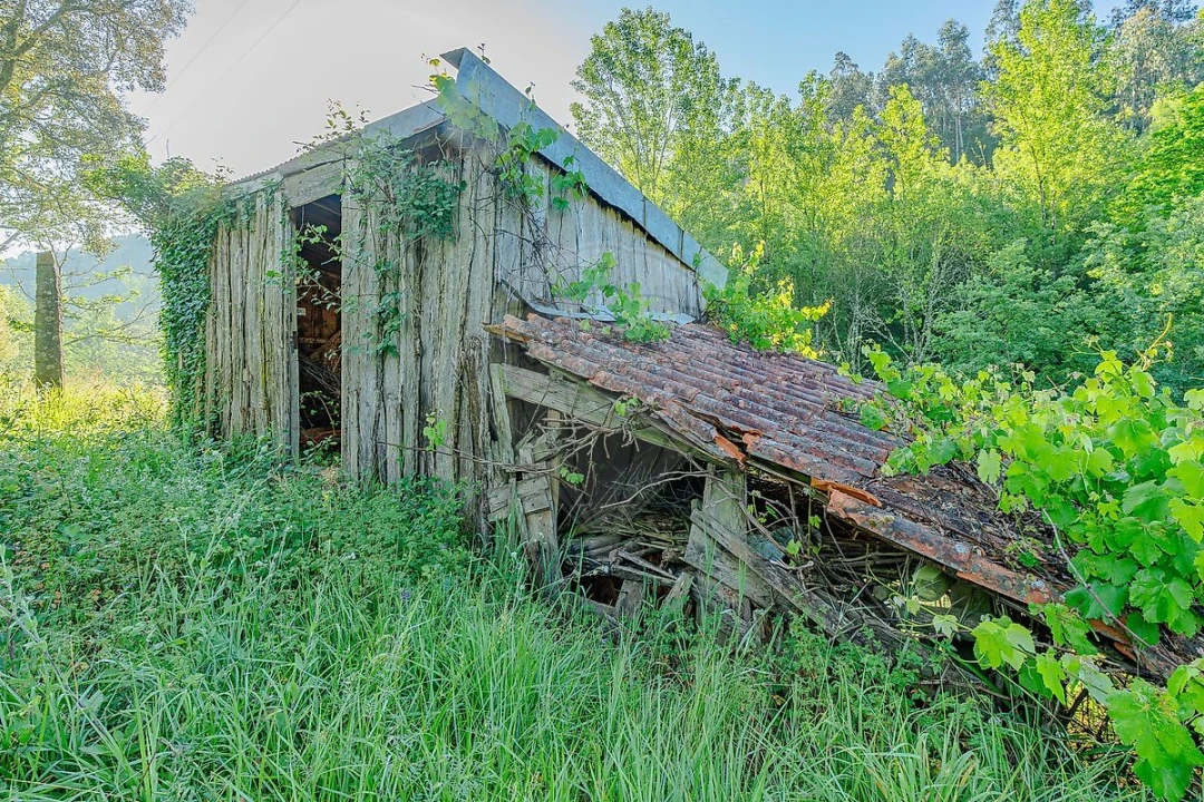 Quinta T
           para Venda em Tropeço Foto 8