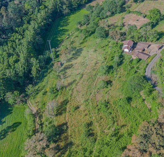 Quinta T
           para Venda em Tropeço Foto 40