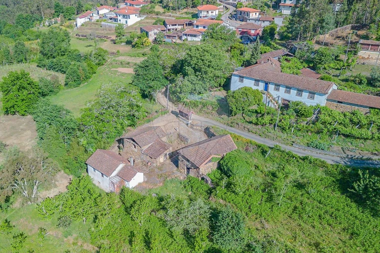Quinta T
           para Venda em Tropeço Foto 5