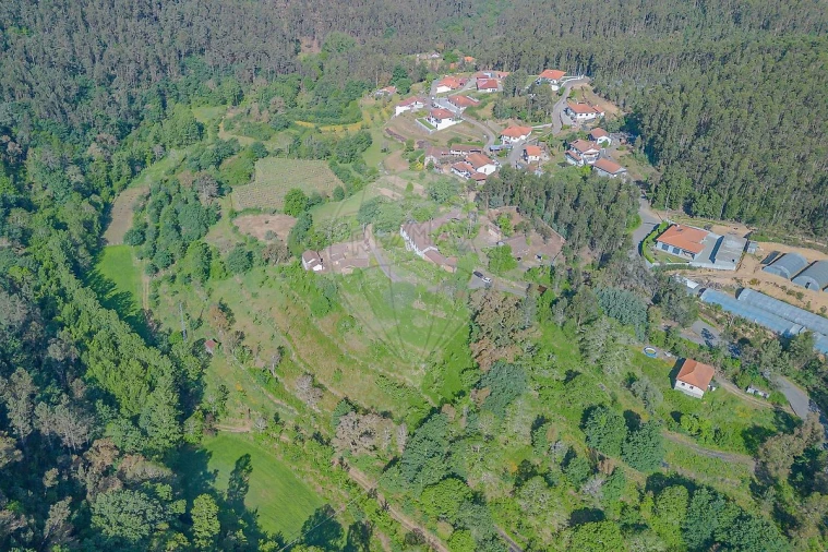 Quinta T
           para Venda em Tropeço Foto 3