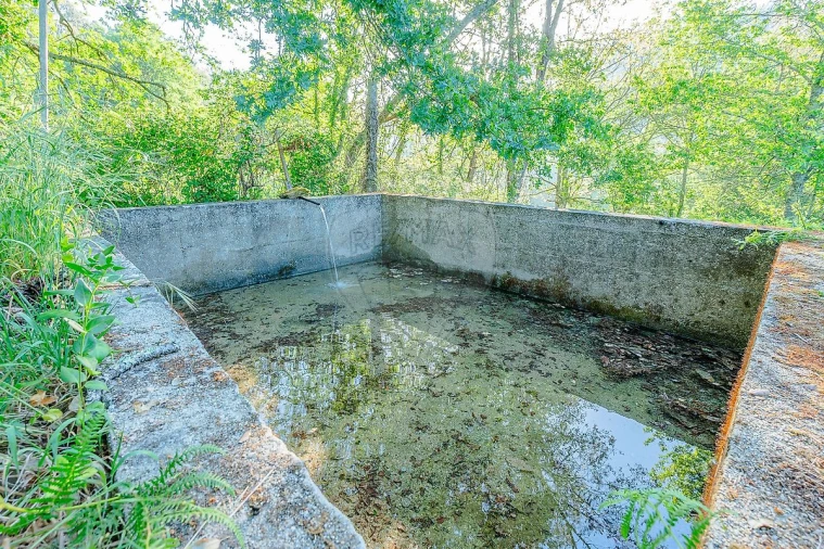 Quinta T
           para Venda em Tropeço Foto 7