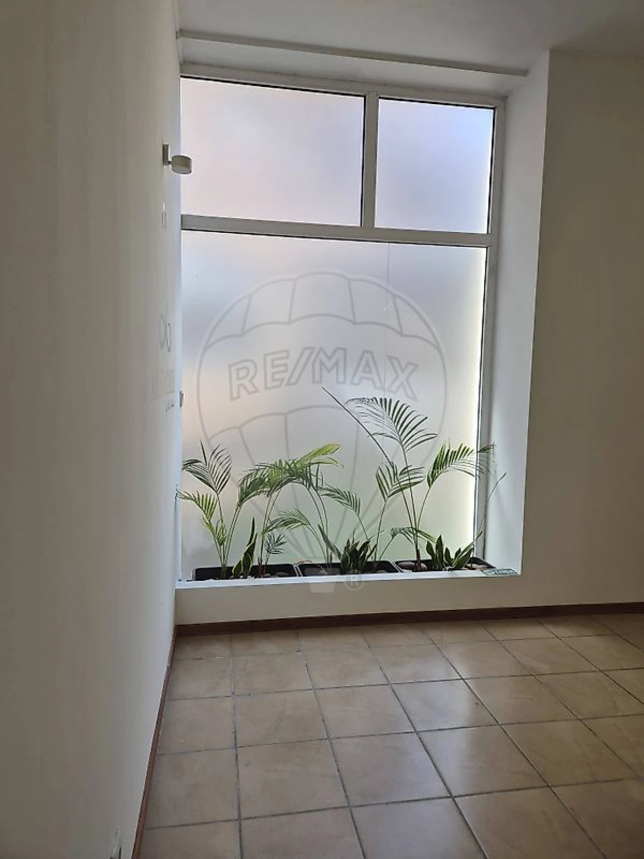 Negócio para Venda em O. Azeméis, Riba-Ul, Ul, Macinhata Seixa, Madail Foto 7