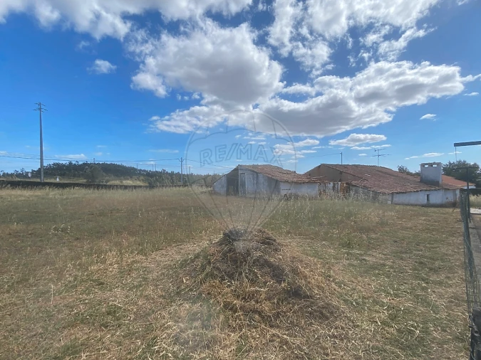 Moradia T3 para Venda em São Pedro de Tomar Foto 6