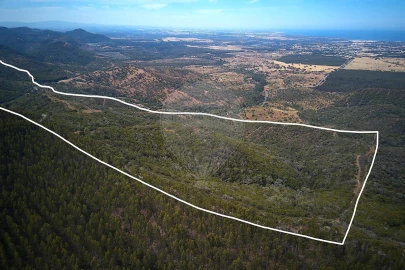 Armazém para Venda em Vila Nova de Milfontes