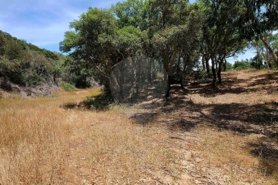 Armazém para Venda em Vila Nova de Milfontes