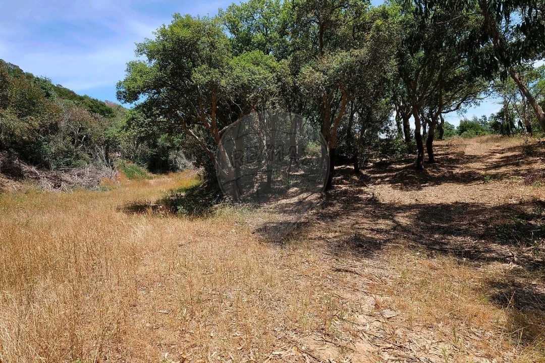 Armazém para Venda em Vila Nova de Milfontes Foto 20