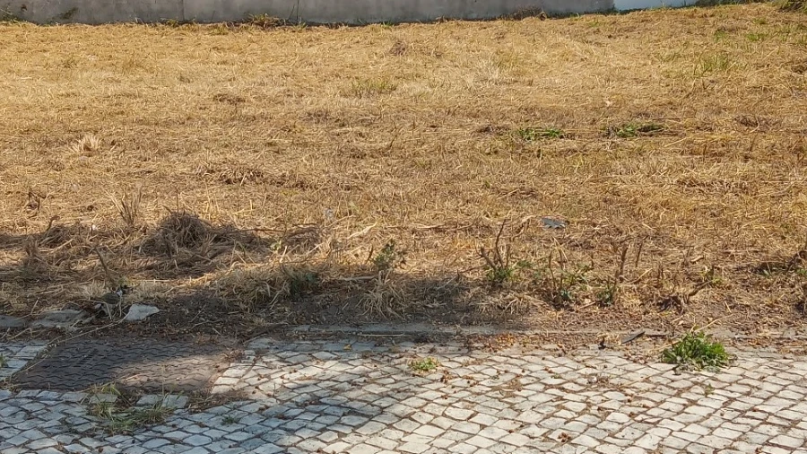 Terreno para Venda em Santa Joana