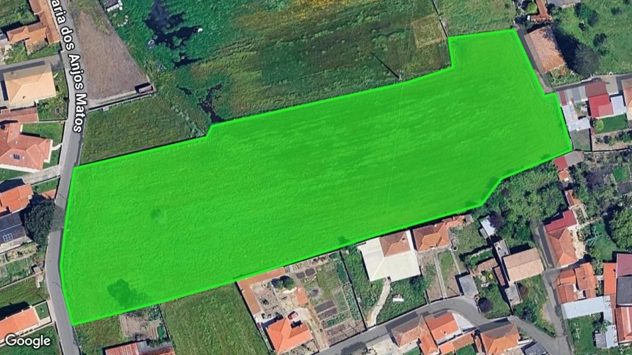 Terreno para Venda em Monte Foto 2