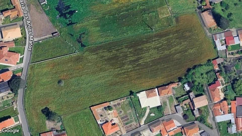 Terreno para Venda em Monte