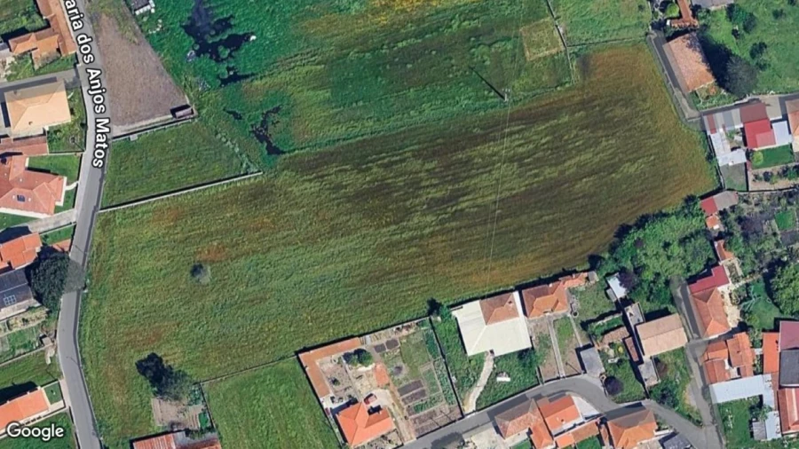 Terreno para Venda em Monte Foto 3