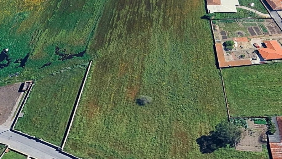 Terreno para Venda em Monte
