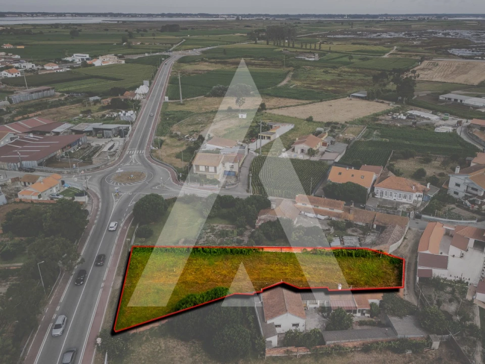 Terreno para Venda em Murtosa Foto 1