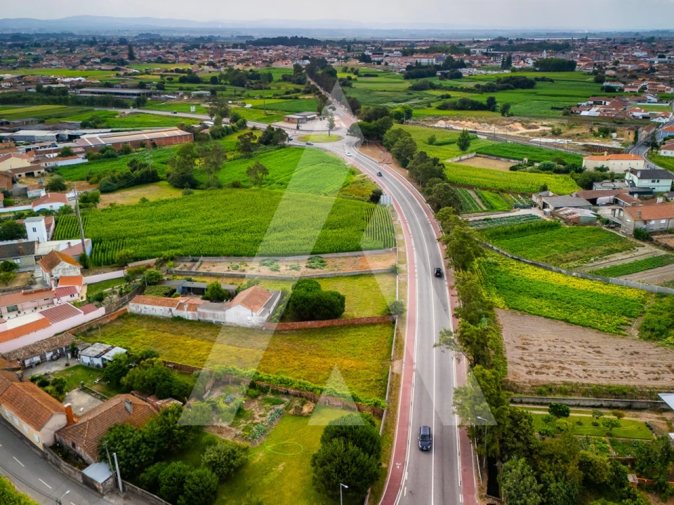 Terreno para Venda em Murtosa Foto 7