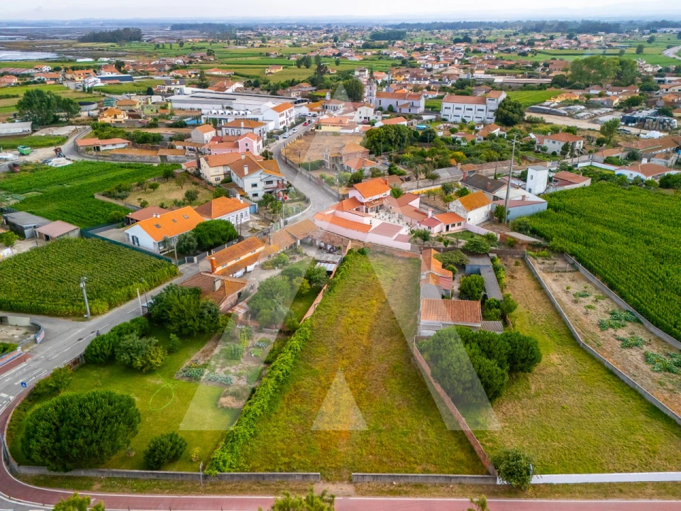 Terreno para Venda em Murtosa Foto 9