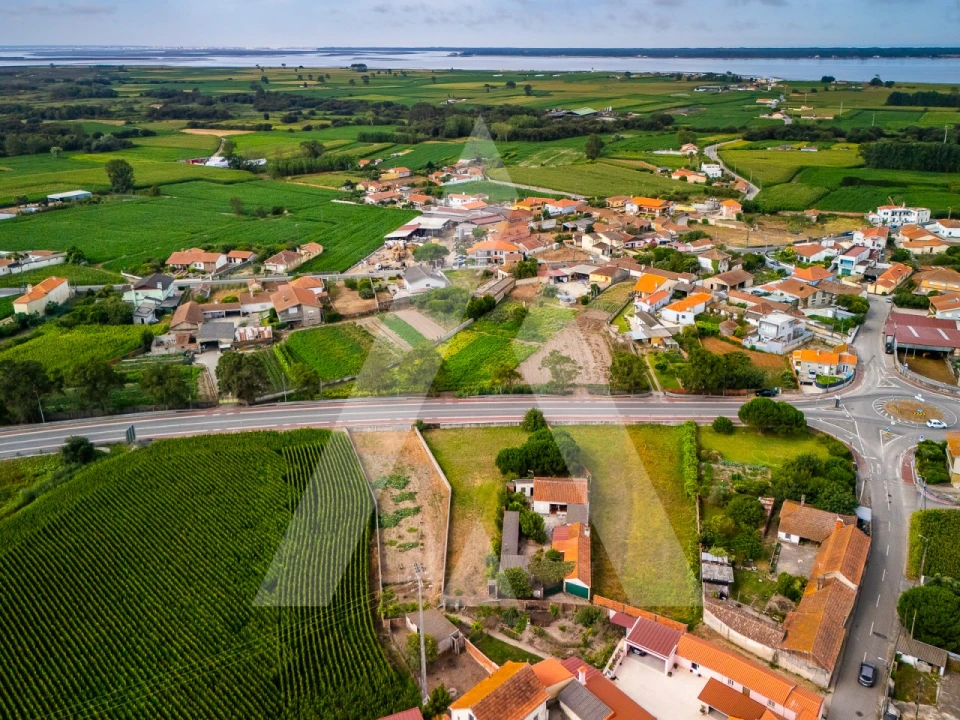 Terreno para Venda em Murtosa Foto 10