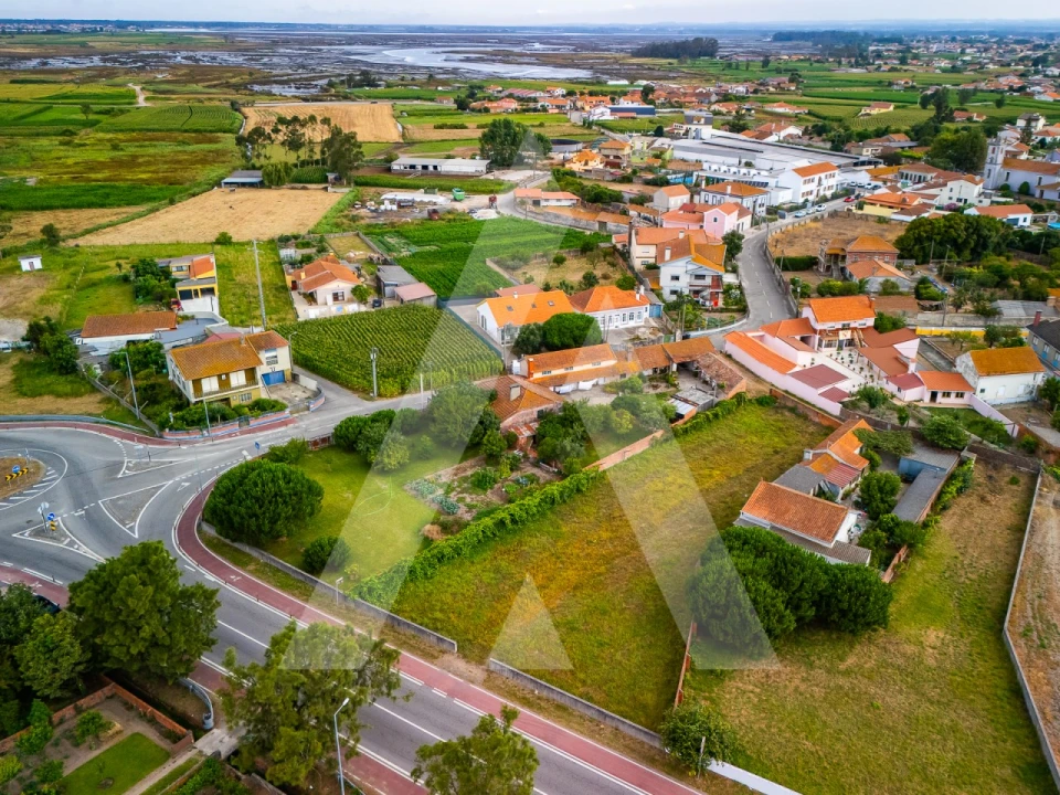 Terreno para Venda em Murtosa Foto 13