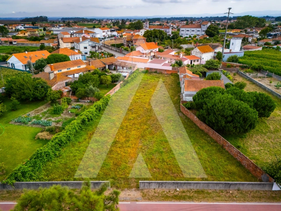 Terreno para Venda em Murtosa Foto 14