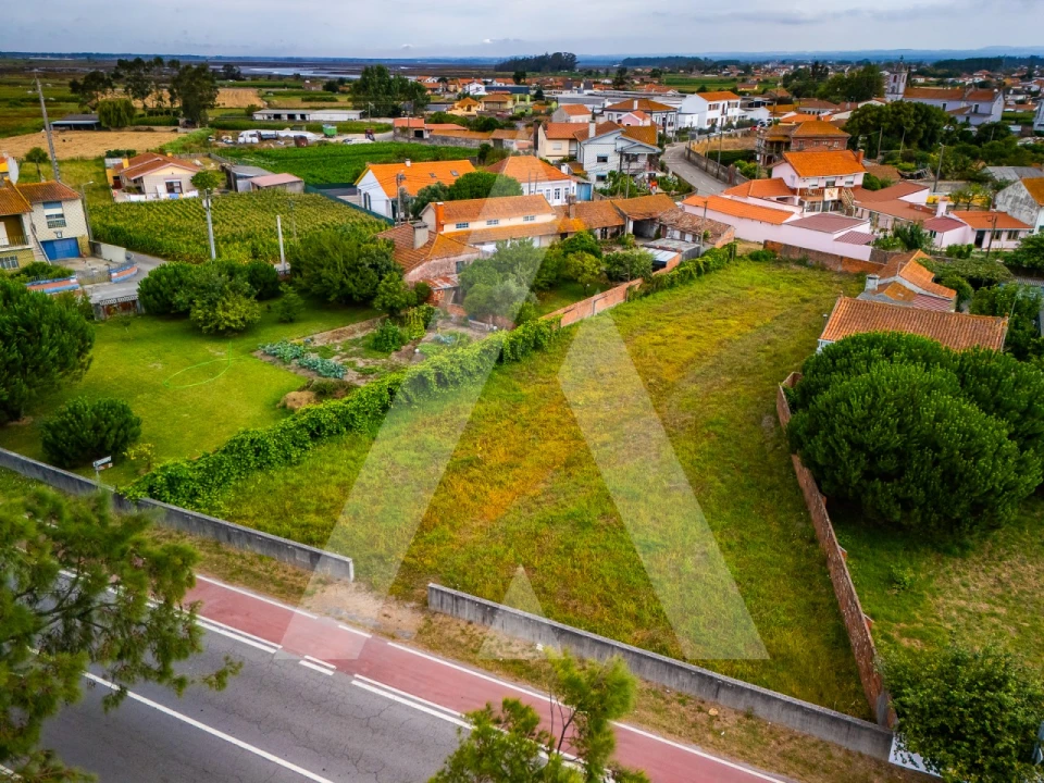 Terreno para Venda em Murtosa Foto 15