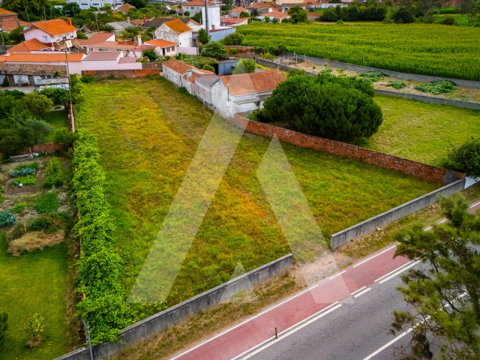 Terreno para Venda em Murtosa Foto 16