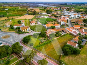 Terreno para Venda em Murtosa