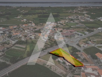 Terreno para Venda em Murtosa
