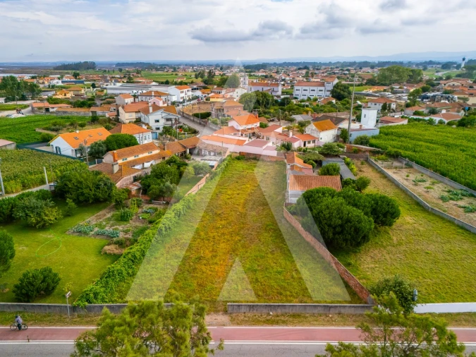 Terreno para Venda em Murtosa Foto 3