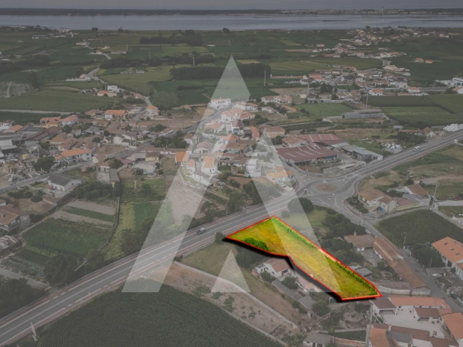 Terreno para Venda em Murtosa Foto 8