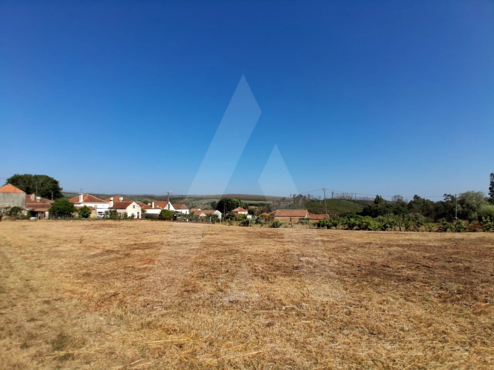 Terreno para Venda em Macinhata do Vouga Foto 5