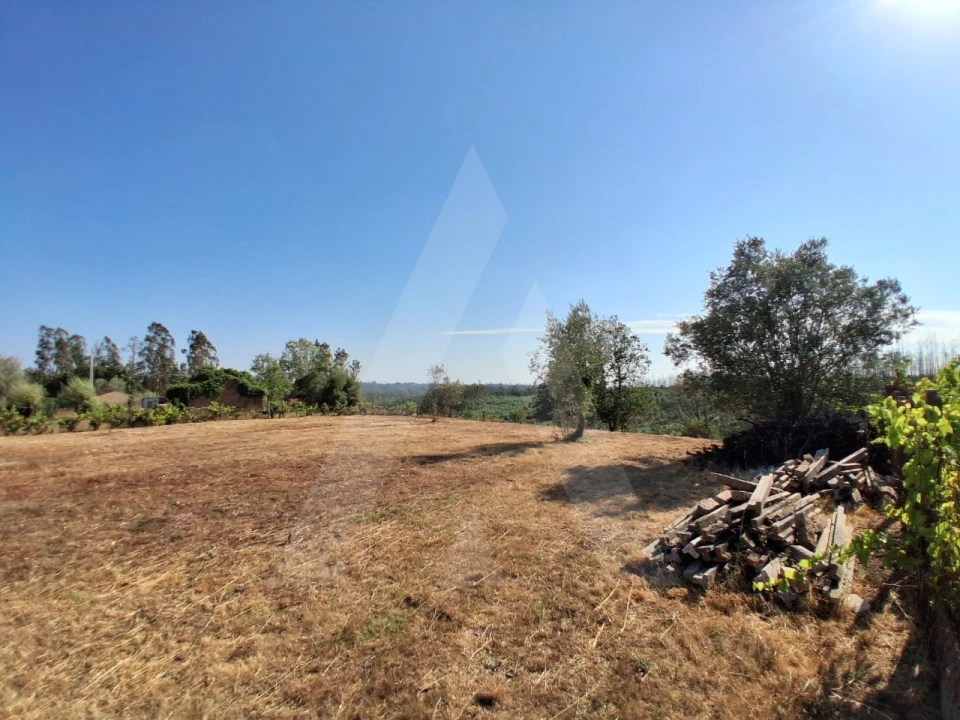 Terreno para Venda em Macinhata do Vouga Foto 6