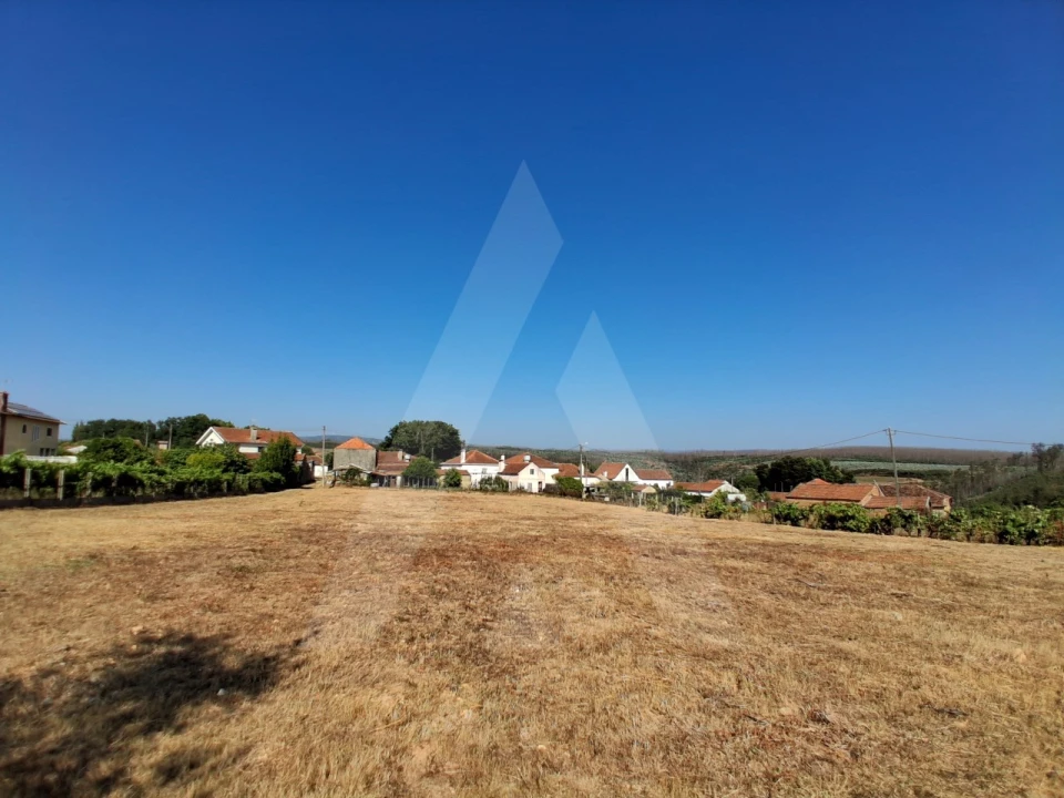 Terreno para Venda em Macinhata do Vouga Foto 8